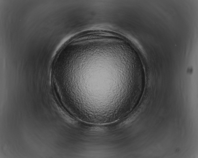 X0000091211224200708231559