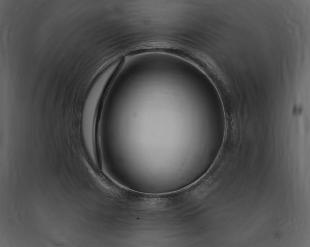 X0000091211225200708231559