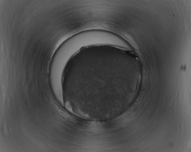 X0000091211226200708231559