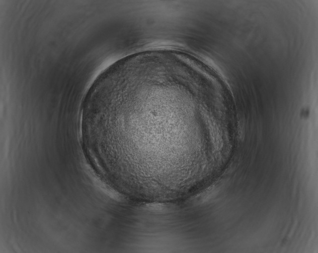 X0000091211227200708231559