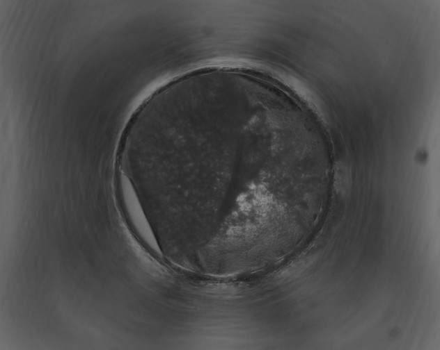 X0000091211229200708231559