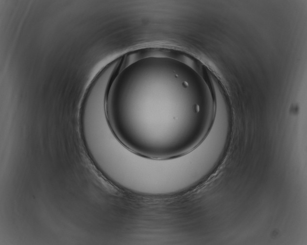 X0000091211230200708231559