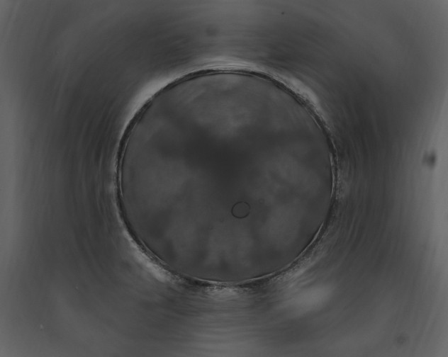 X0000091211231200708231559