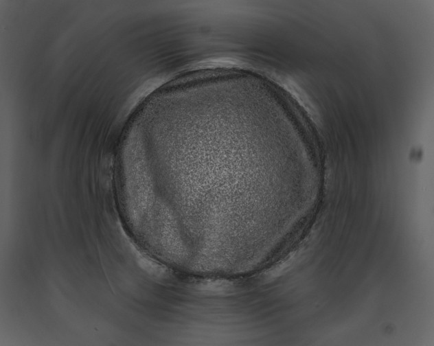 X0000091211233200708231559