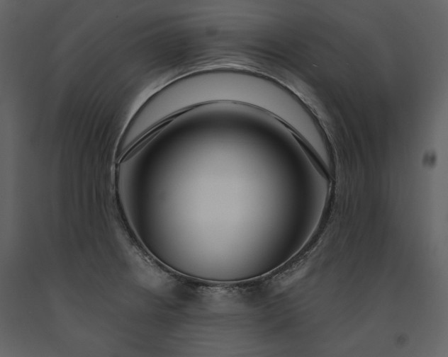 X0000091211234200708231559