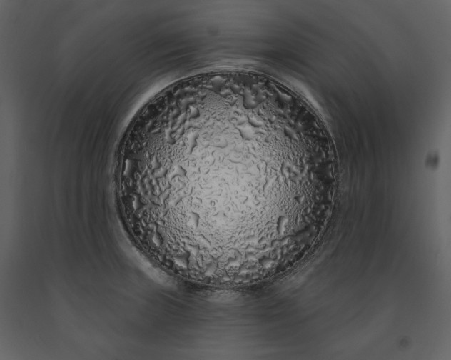 X0000091211235200708231559