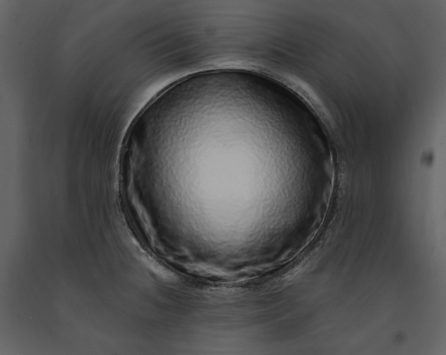 X0000091211236200708231559