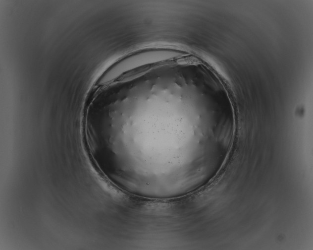 X0000091211237200708231559