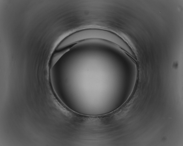 X0000091211238200708231559