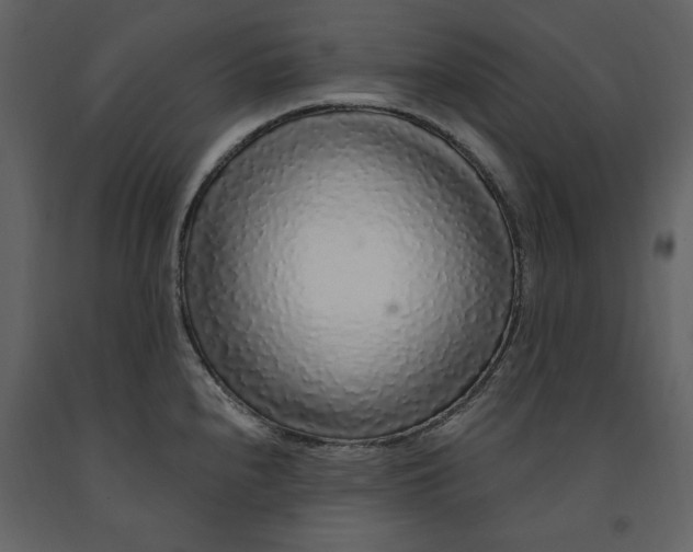 X0000091211240200708231559