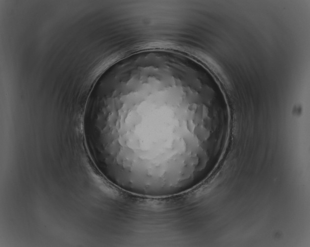 X0000091211241200708231559