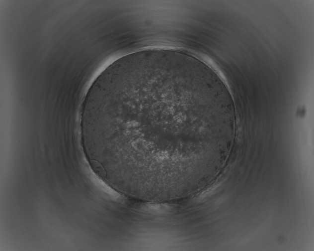 X0000091211243200708231600