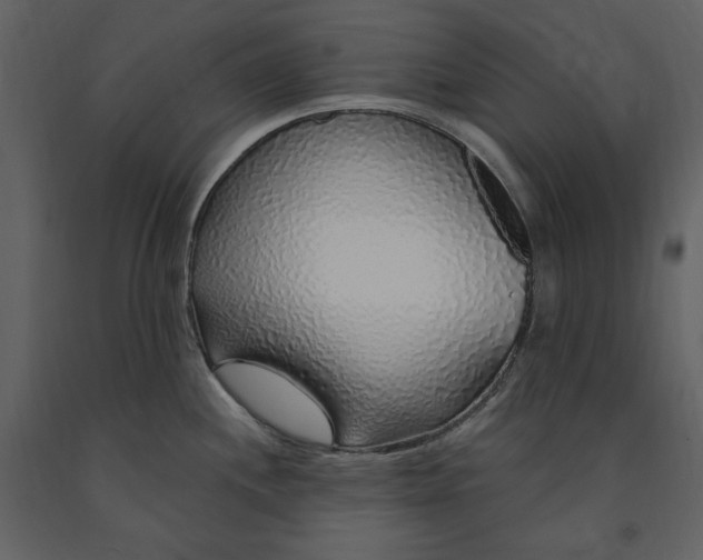 X0000091211244200708231600