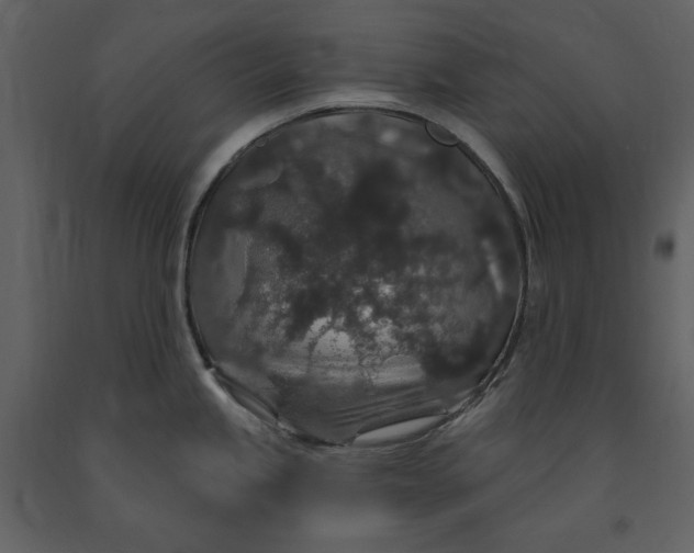X0000091211245200708231600