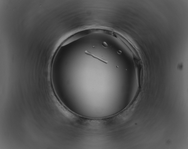 X0000091211246200708231600