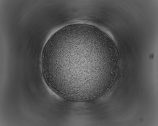 X0000091211247200708231600