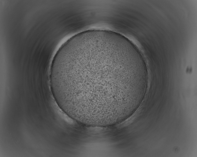 X0000091211248200708231600