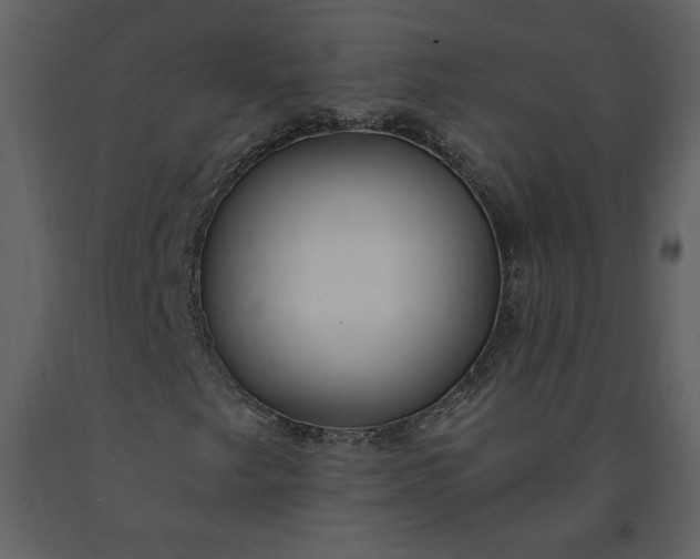 X0000091211249200708231559