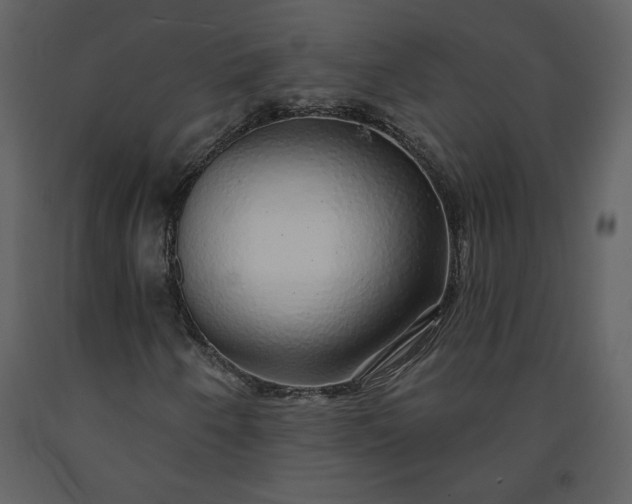 X0000091211250200708231559