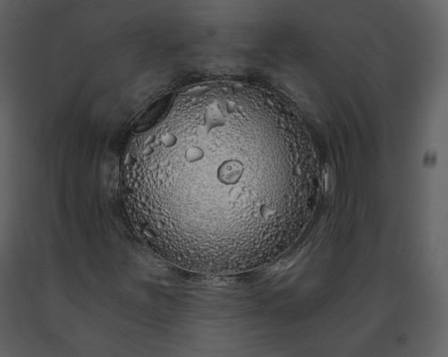 X0000091211251200708231559