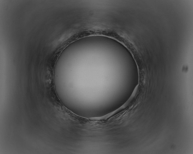 X0000091211253200708231559