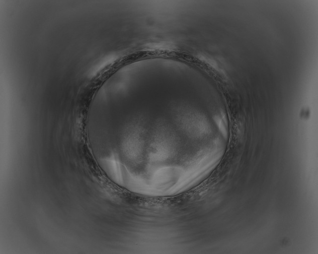 X0000091211254200708231559
