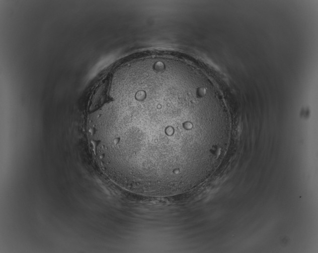 X0000091211255200708231559