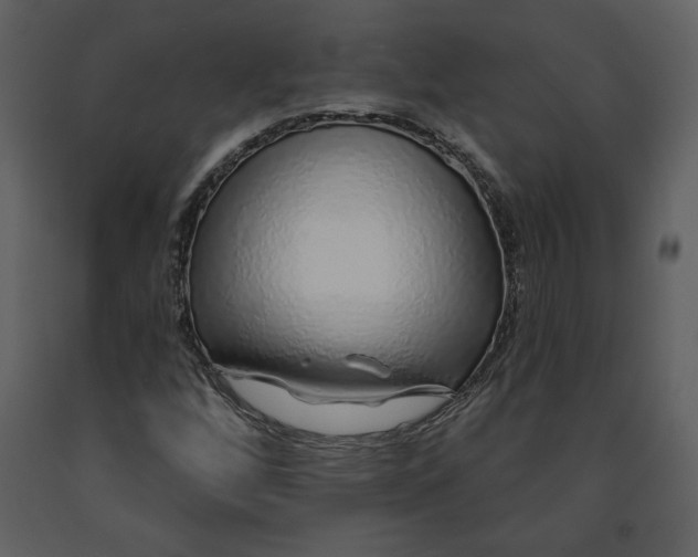 X0000091211256200708231559