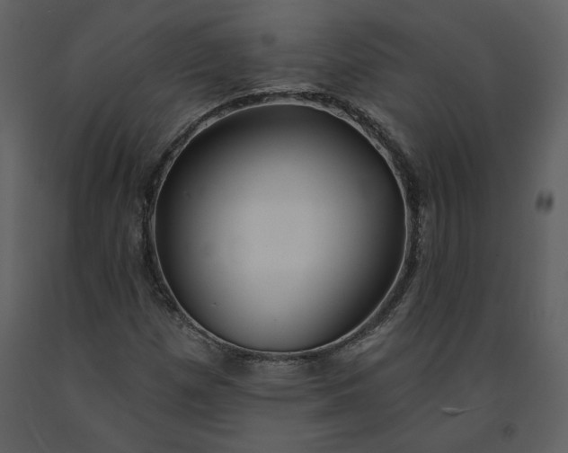 X0000091211257200708231559