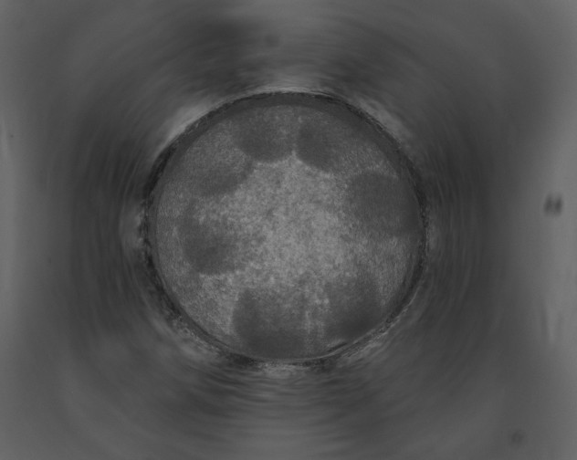 X0000091211258200708231559