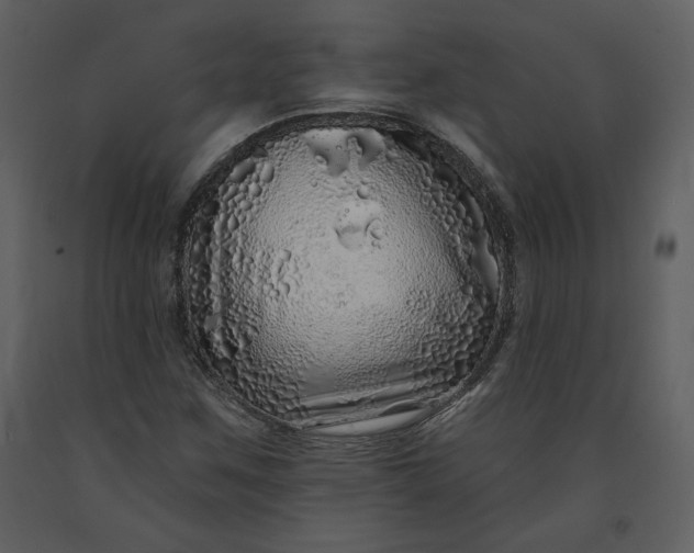 X0000091211259200708231559