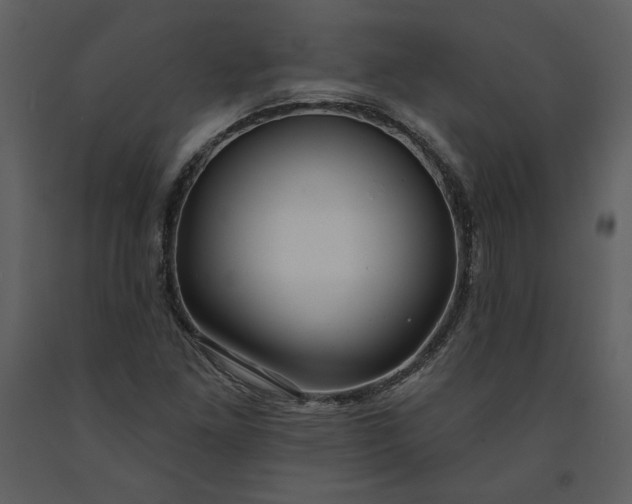 X0000091211261200708231559