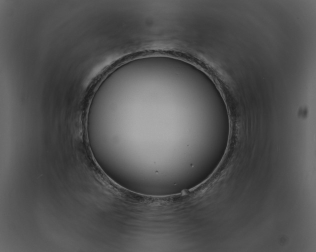 X0000091211262200708231559