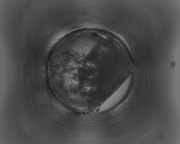 X0000091211263200708231559