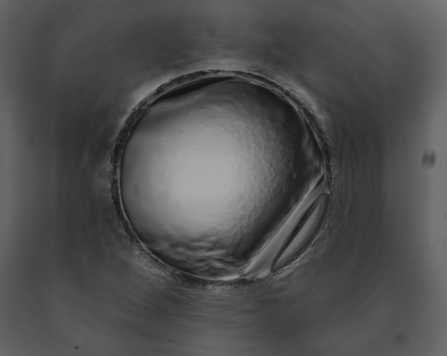 X0000091211264200708231559