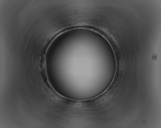 X0000091211265200708231559