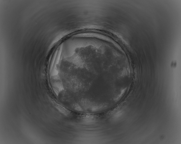 X0000091211266200708231559