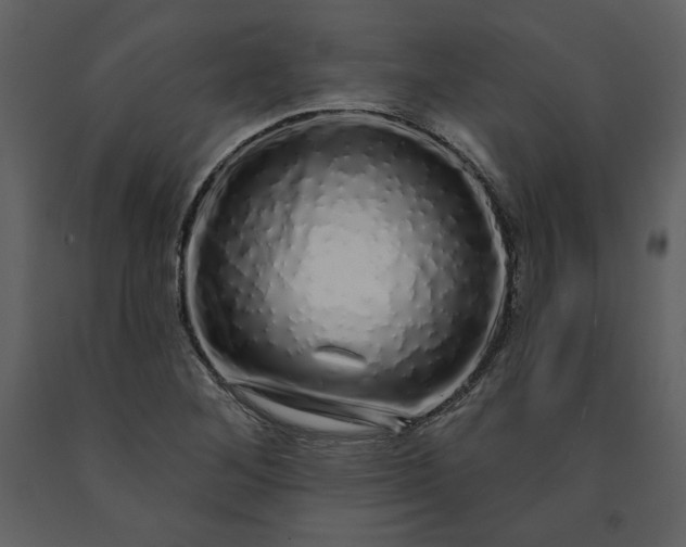 X0000091211268200708231559