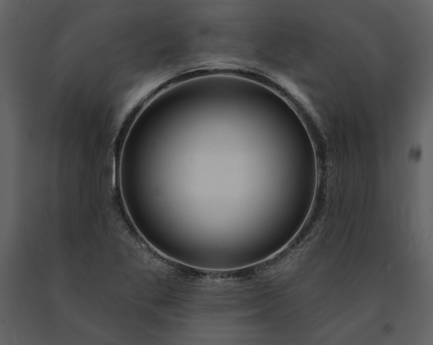 X0000091211269200708231559