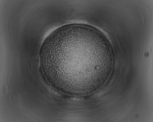 X0000091211271200708231559