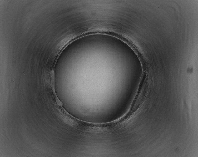X0000091211273200708231559