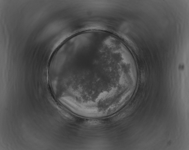 X0000091211274200708231559