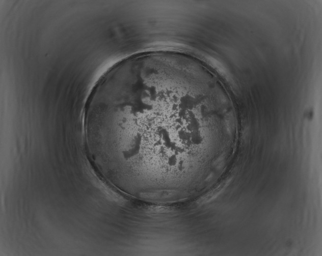 X0000091211275200708231559