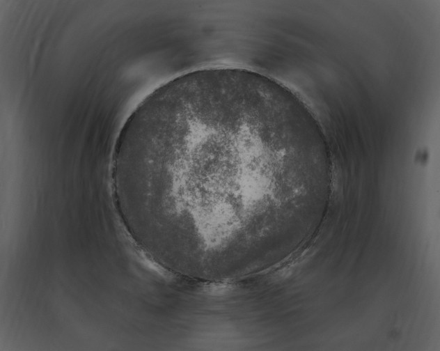 X0000091211278200708231559