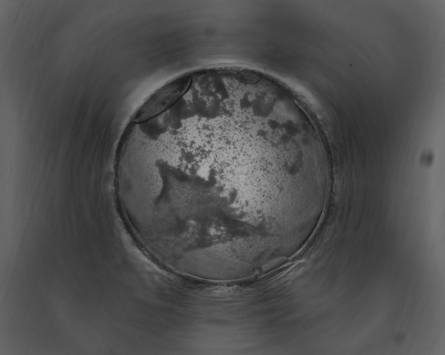 X0000091211279200708231559