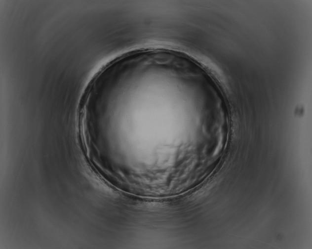 X0000091211280200708231559