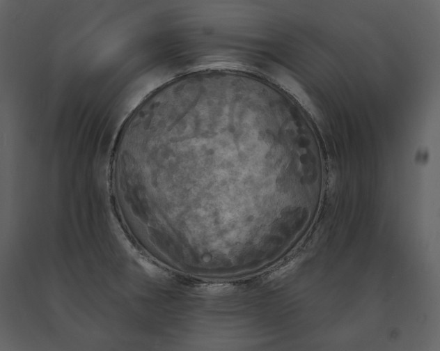 X0000091211282200708231558