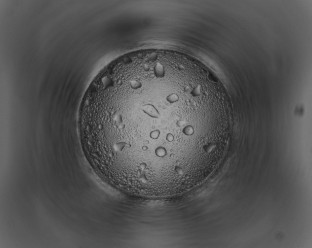 X0000091211283200708231558