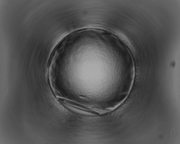 X0000091211284200708231558