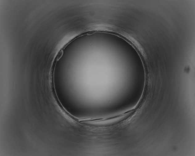 X0000091211285200708231558